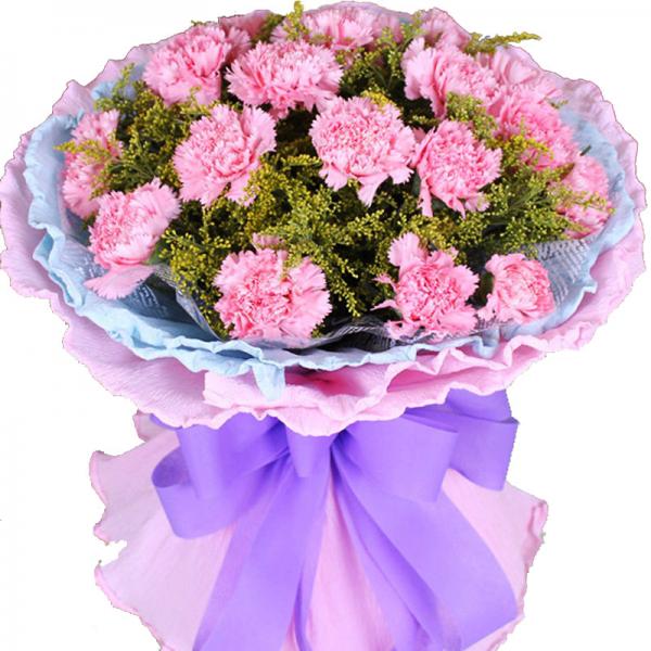 感恩有您--19枝粉色康乃馨圆形花束