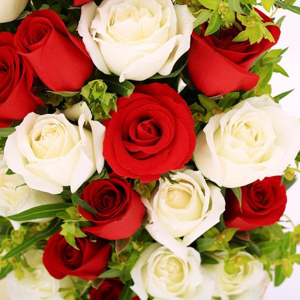 知心爱人--红玫瑰、白玫瑰共19枝
